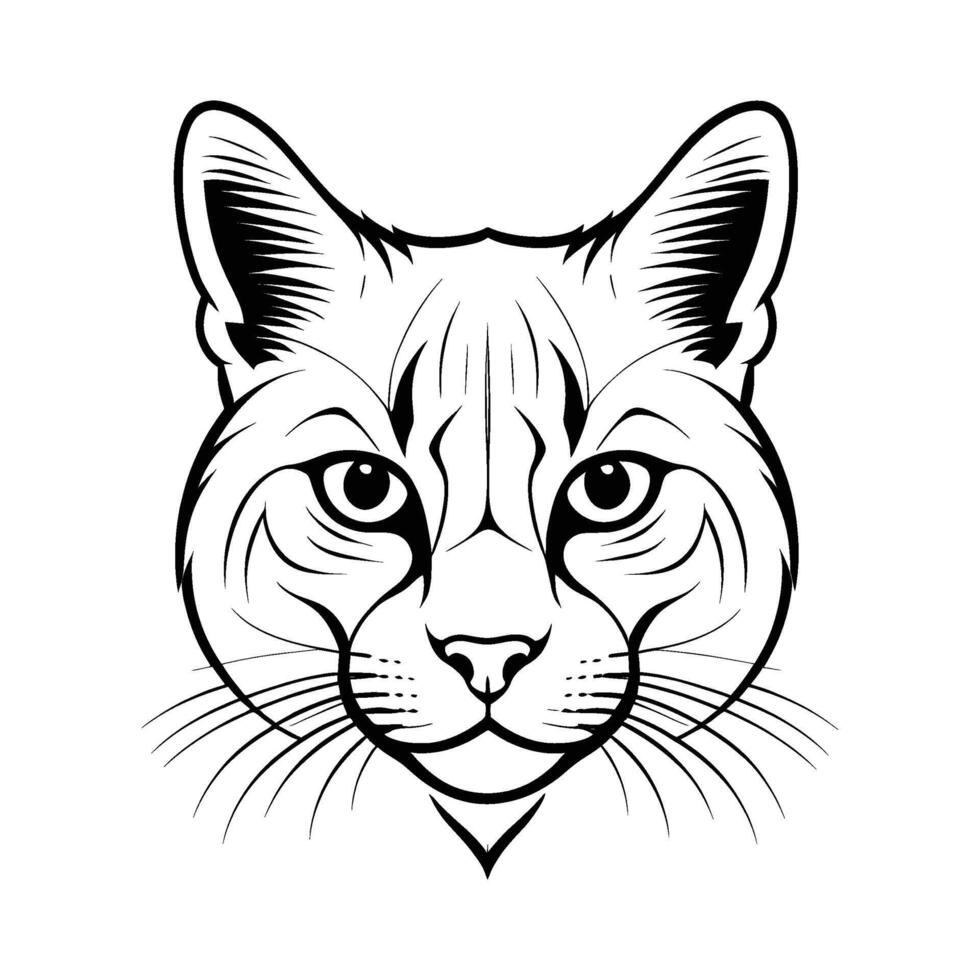 Distinct Scottish Cat Head Silhouette in Side View on White Background vector
