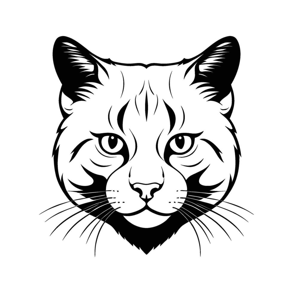 Scottish Cat Head Silhouette with Round Face on White Background vector