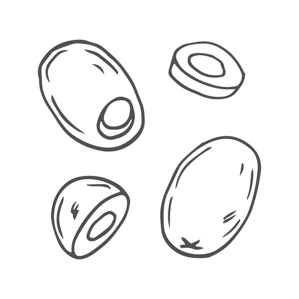Olive hand drawn sketch set in doodle style vector