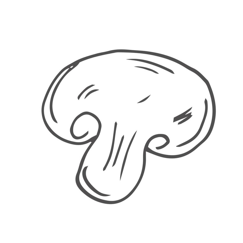 Champignons, mushroom set in hand-drawn, doodles style for kitchen, cooking blog, farmers grocery store, package, poster design online shop. vector