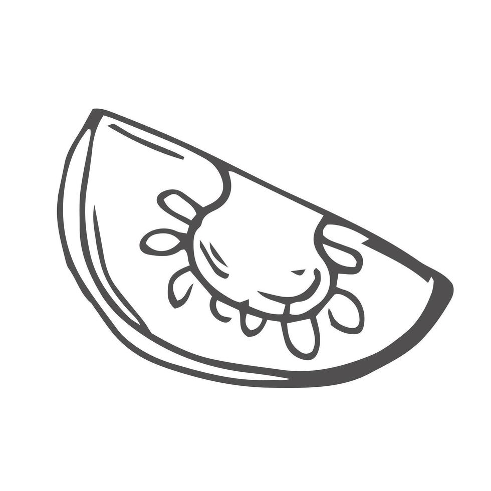 Doodle tomato slice hand drawn sketch vector