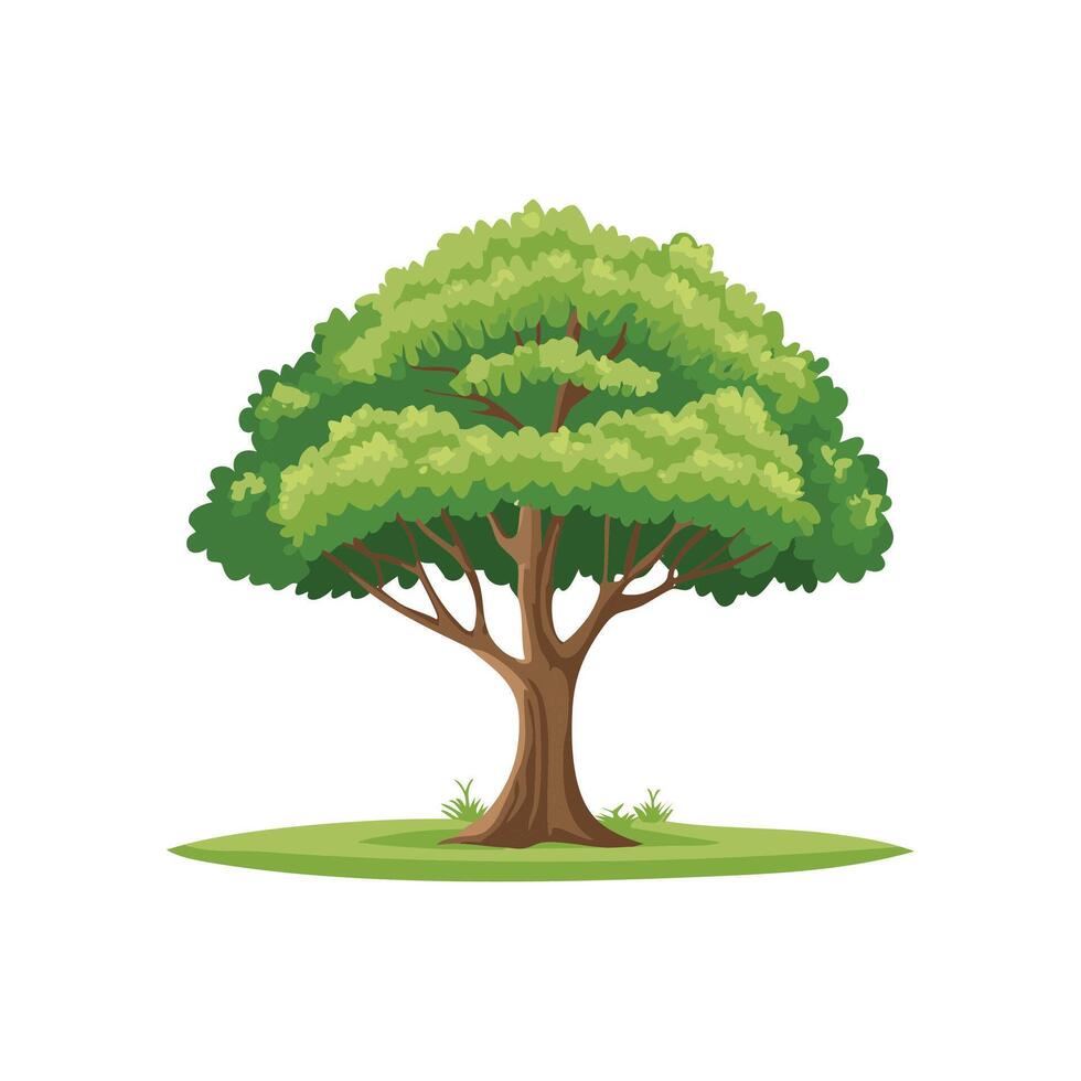 Tree isolated on a white background vector