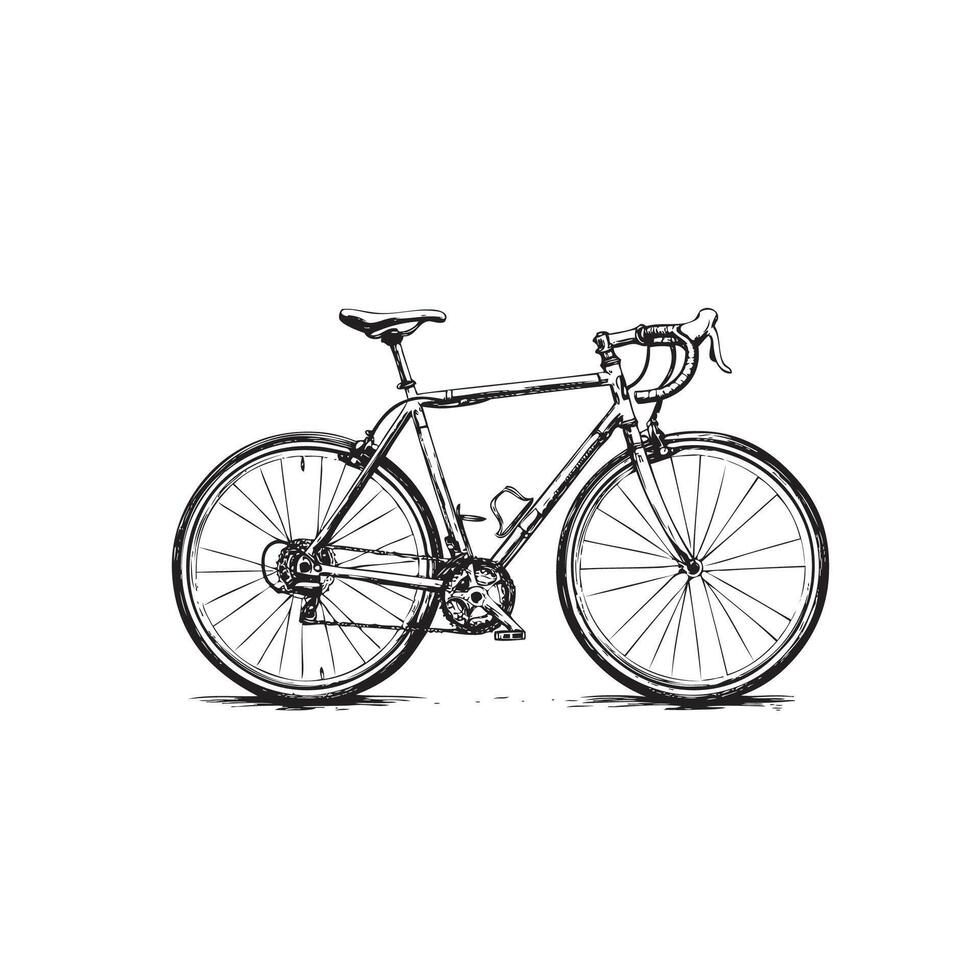 Urban utility bicycle for transportation vector