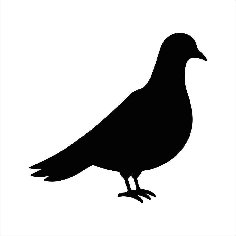 Peaceful Dove Illustration vector
