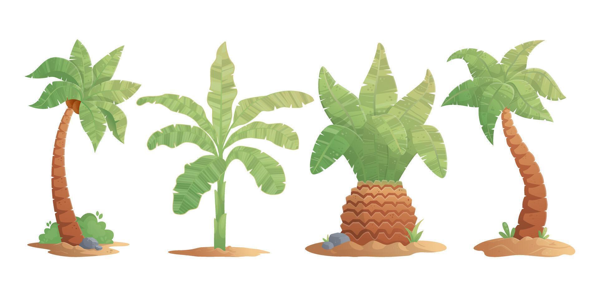 Four tropical palm trees growing on sand with lush green leaves vector