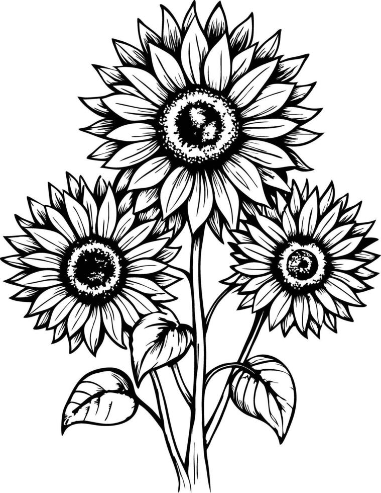Linear sunflowers and leaves vector