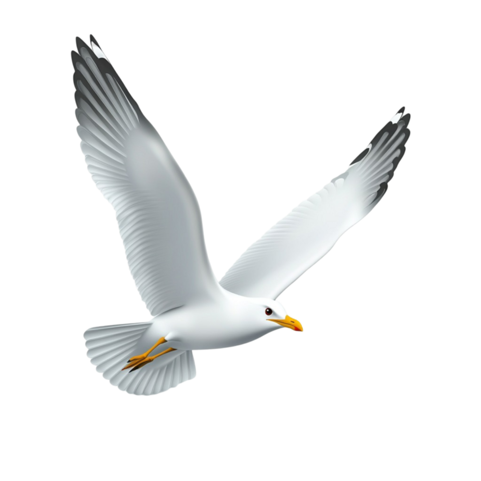 Seagull Flying in the Air on Transparent Background png