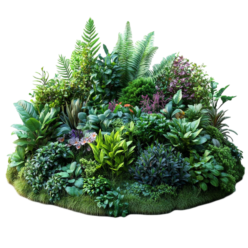 Garden with Plants and Grass on Transparent Background png