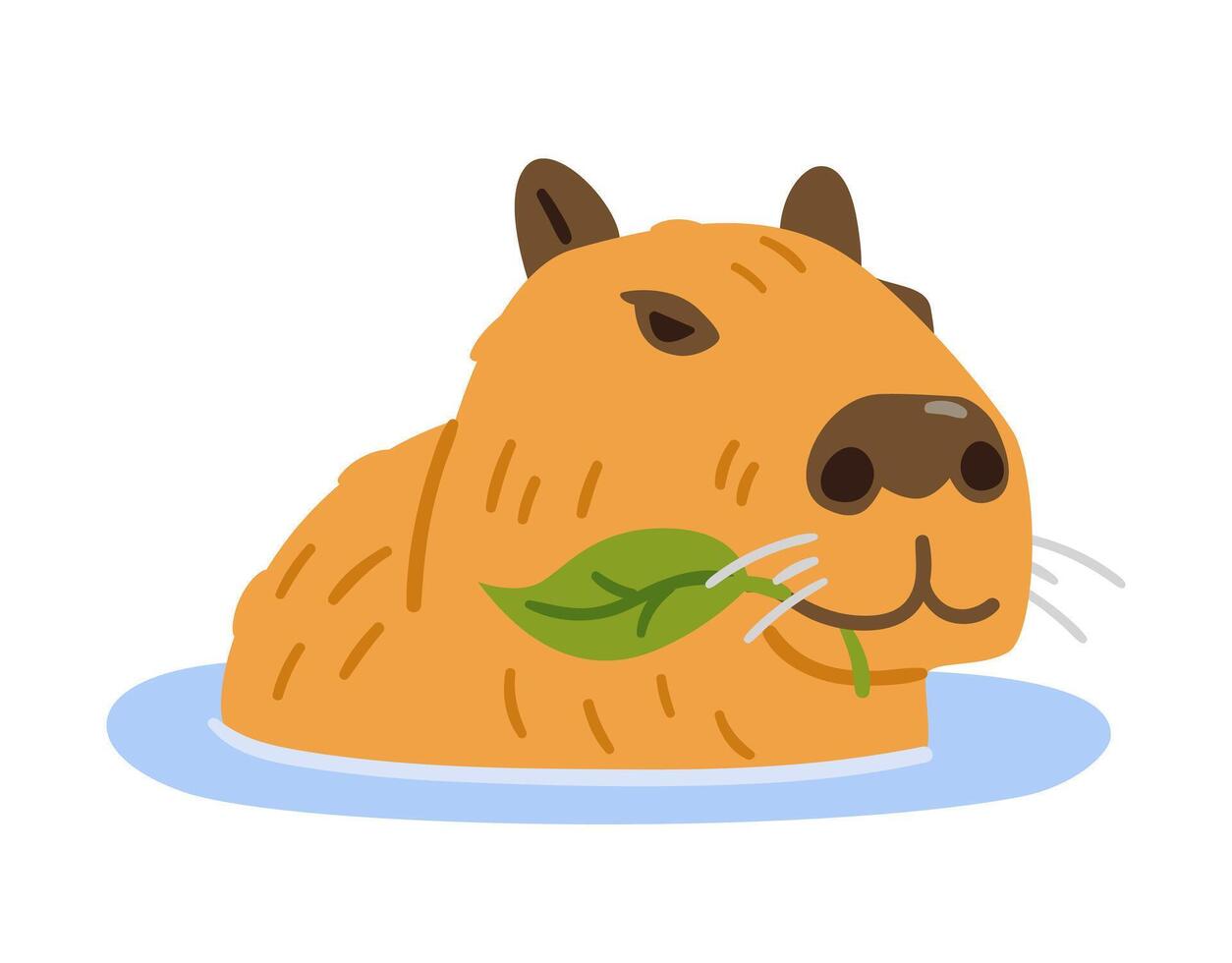 Capybara swimming while eating green leaves funny flat illustration isolated on white. vector