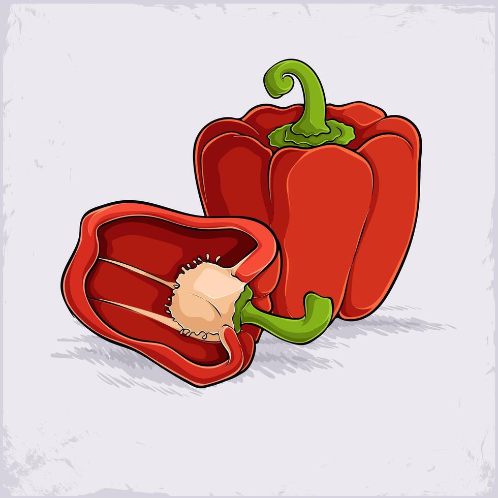 Hand drawn red organic healthy bell pepper vegetable full of vitamins isolated on white background vector