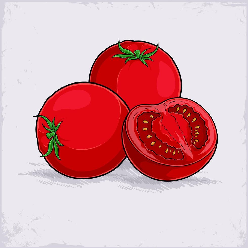 Hand drawn set of full and half sliced fresh healthy red tomatoes with green leaf on top isolated vector