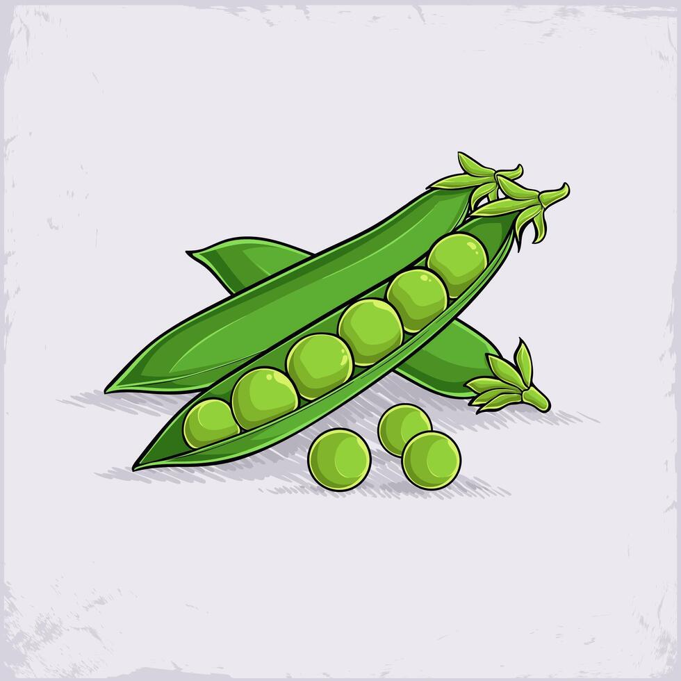 Hand drawn set of full and peeled organic healthy green peas pods good for body health isolated vector