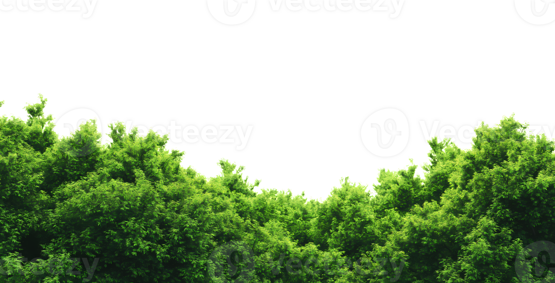 Green Trees and forest isolated on transparent background png