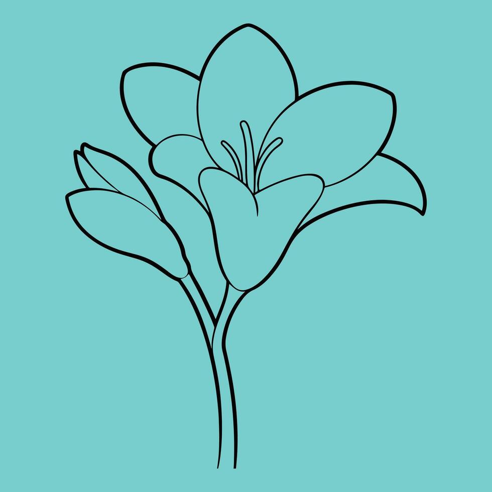 Freesia Flower line art illustrations, ideal for coloring, crafts, and educational materials. Simple fruit outlines for coloring and drawing practice. Great for kids and adults work or project. vector