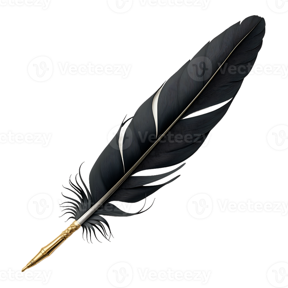 Black quill pen isolate on transparency background png