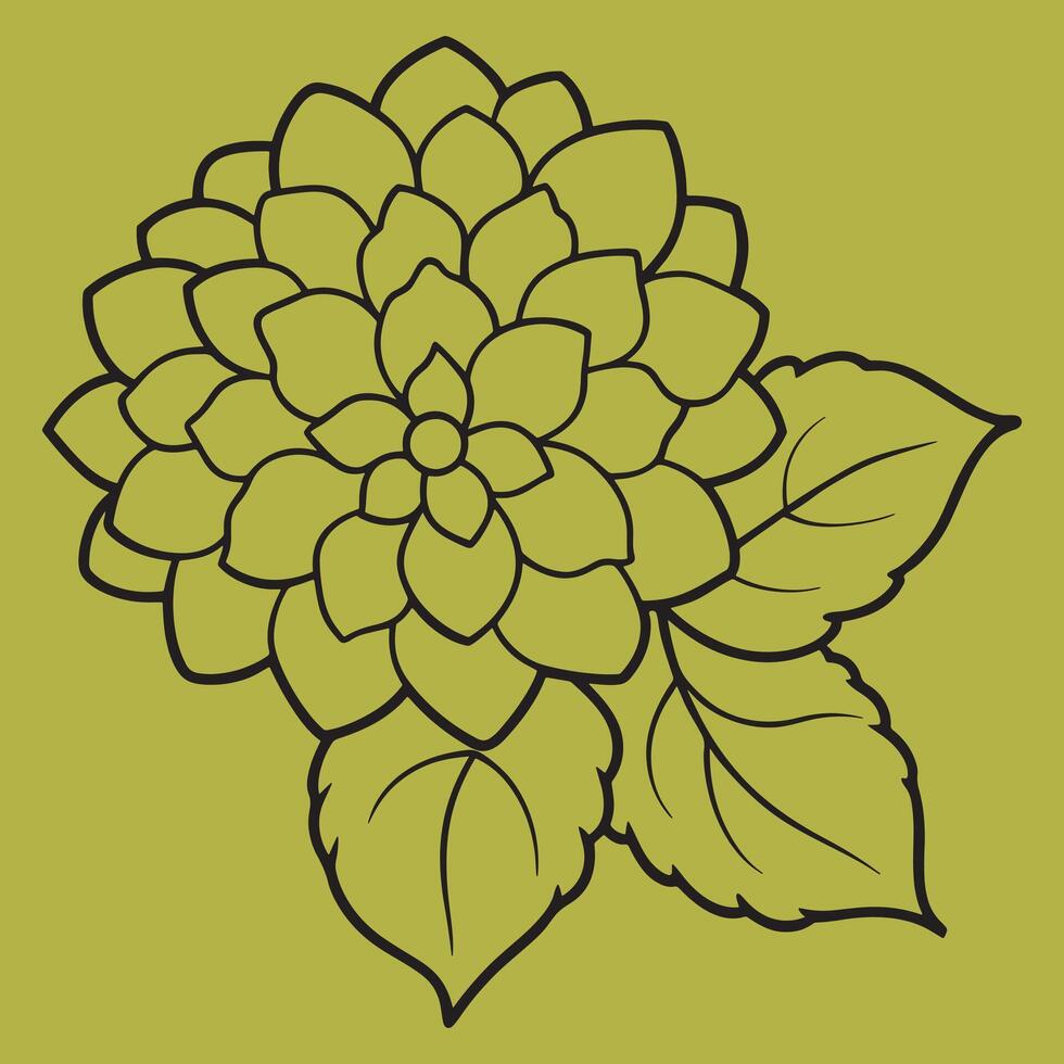 Hydrangea Flower line art illustrations, ideal for coloring, crafts, and educational materials. Simple fruit outlines for coloring and drawing practice. Great for kids and adults work or project. vector