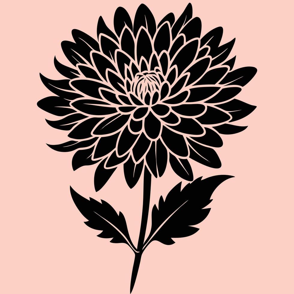 Chrysanthemum Flower silhouette illustrations, ideal for coloring, crafts, and educational materials. Simple fruit outlines for coloring and drawing practice. Great for work or project. vector