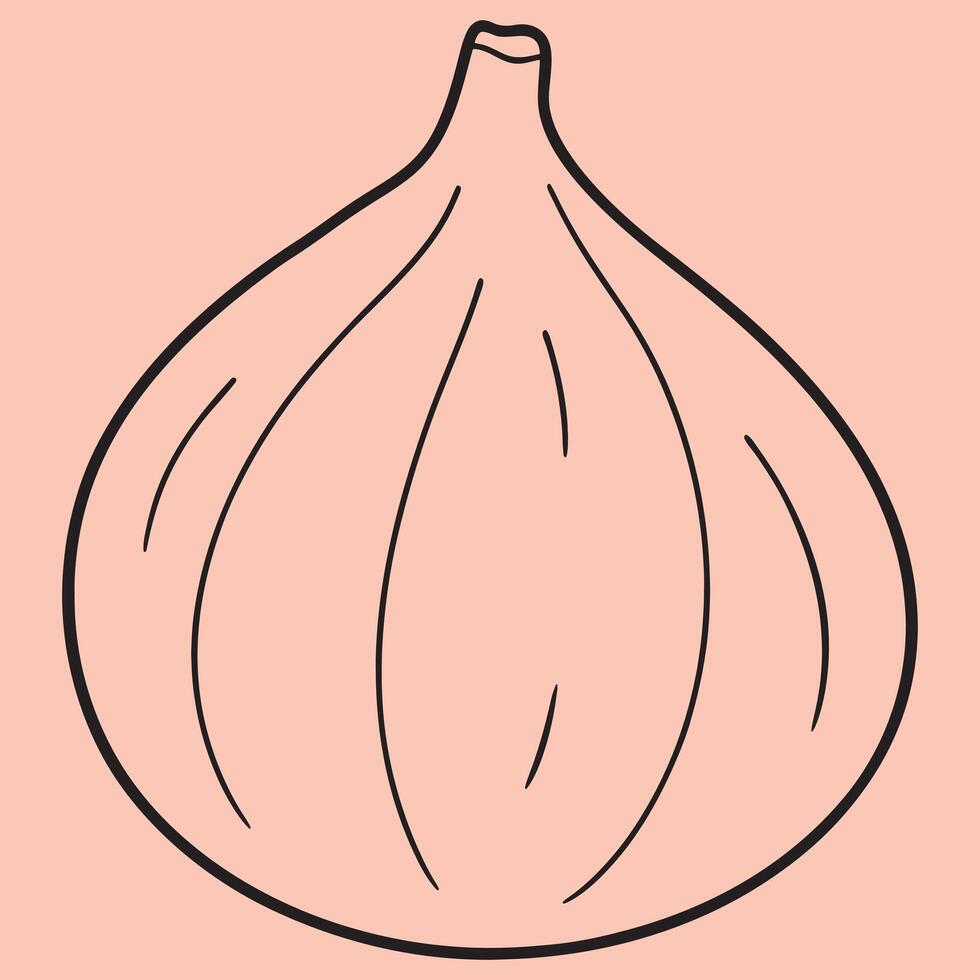 Fig line art illustrations, ideal for coloring, crafts, and educational materials. Simple fruit outlines for coloring and drawing practice. Great for kids and adults work or project. vector