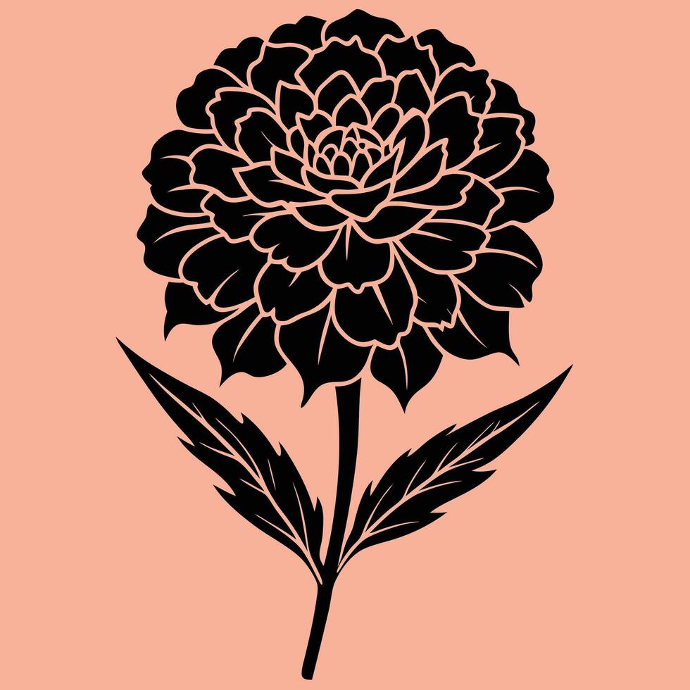 Marigold Flower silhouette illustrations, ideal for coloring, crafts, and educational materials. Simple fruit outlines for coloring and drawing practice. Great for kids and adults work or project. vector