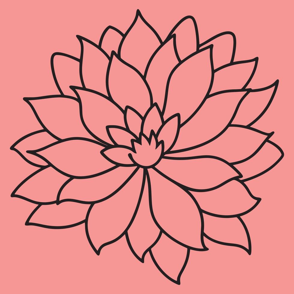 Chrysanthemum Flower line art illustrations, ideal for coloring, crafts, and educational materials. Simple fruit outlines for coloring and drawing practice. Great for kids and adults work or project. vector