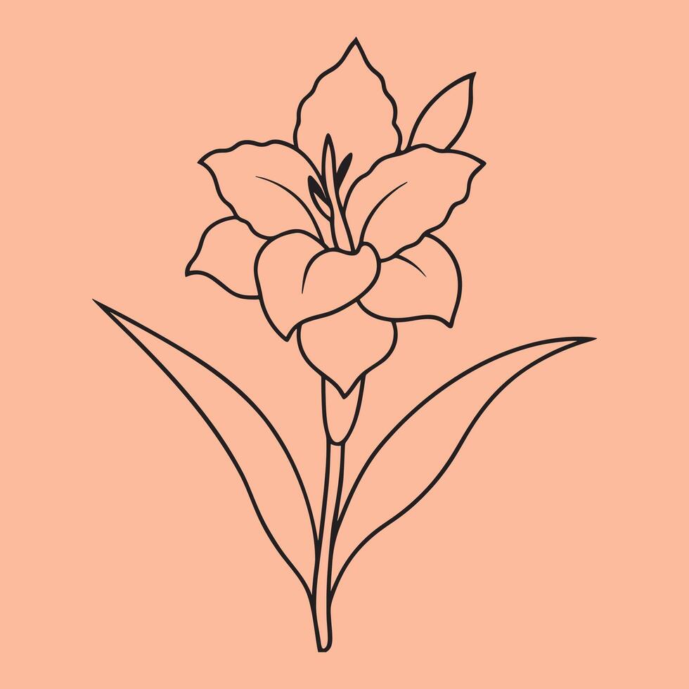 Gladiolus Flower line art illustrations, ideal for coloring, crafts, and educational materials. Simple fruit outlines for coloring and drawing practice. Great for kids and adults work or project. vector