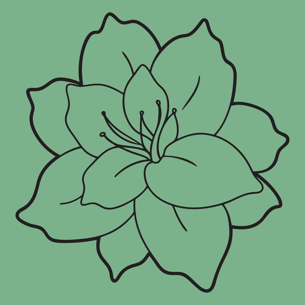 Azalea Flower line art illustrations, ideal for coloring, crafts, and educational materials. Simple fruit outlines for coloring and drawing practice. Great for kids and adults work or project. vector