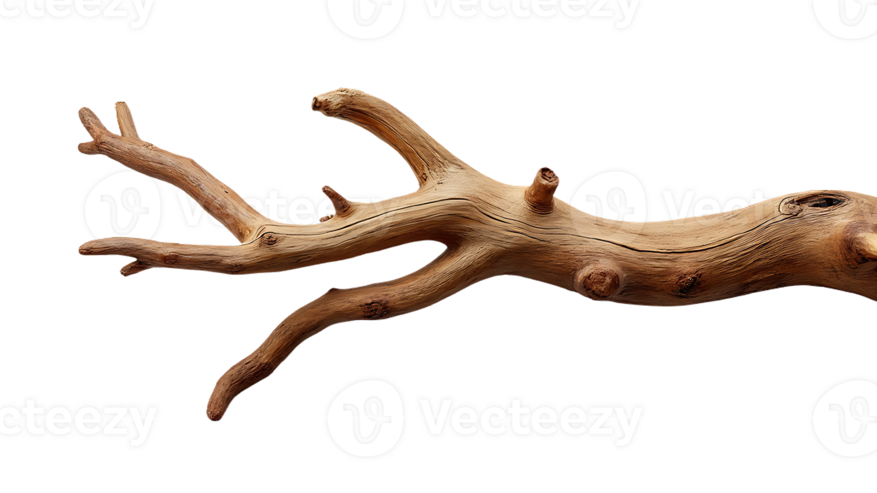 Isolated dry tree branch on a transparent background, great for enhancing rustic and natural visuals. png