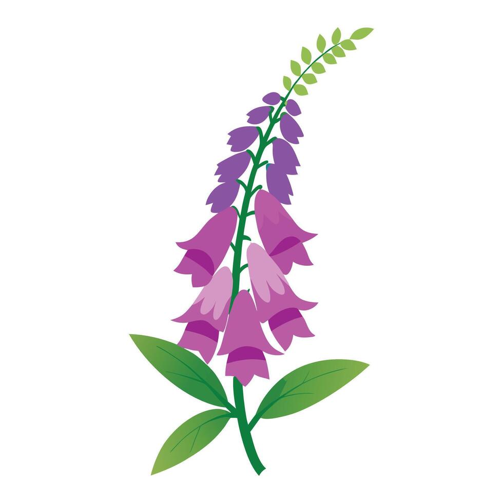 Flat style art Foxglove flower with green leaves vector