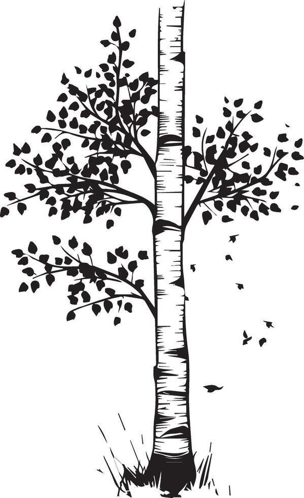 Black Silhouette Aspen Tree Icon for Nature Designs vector