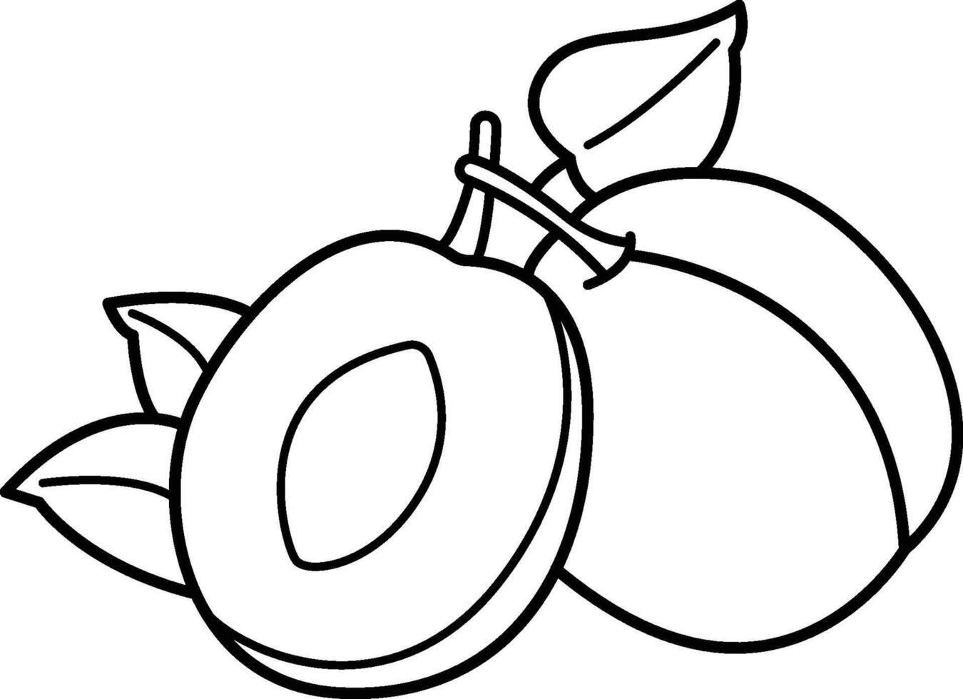Plum Fruit Clipart vector