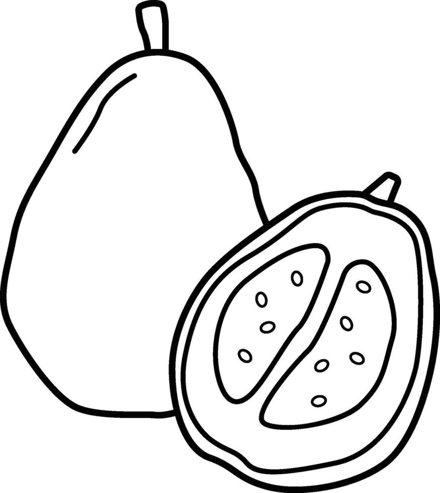 Guava Fruit Clipart vector