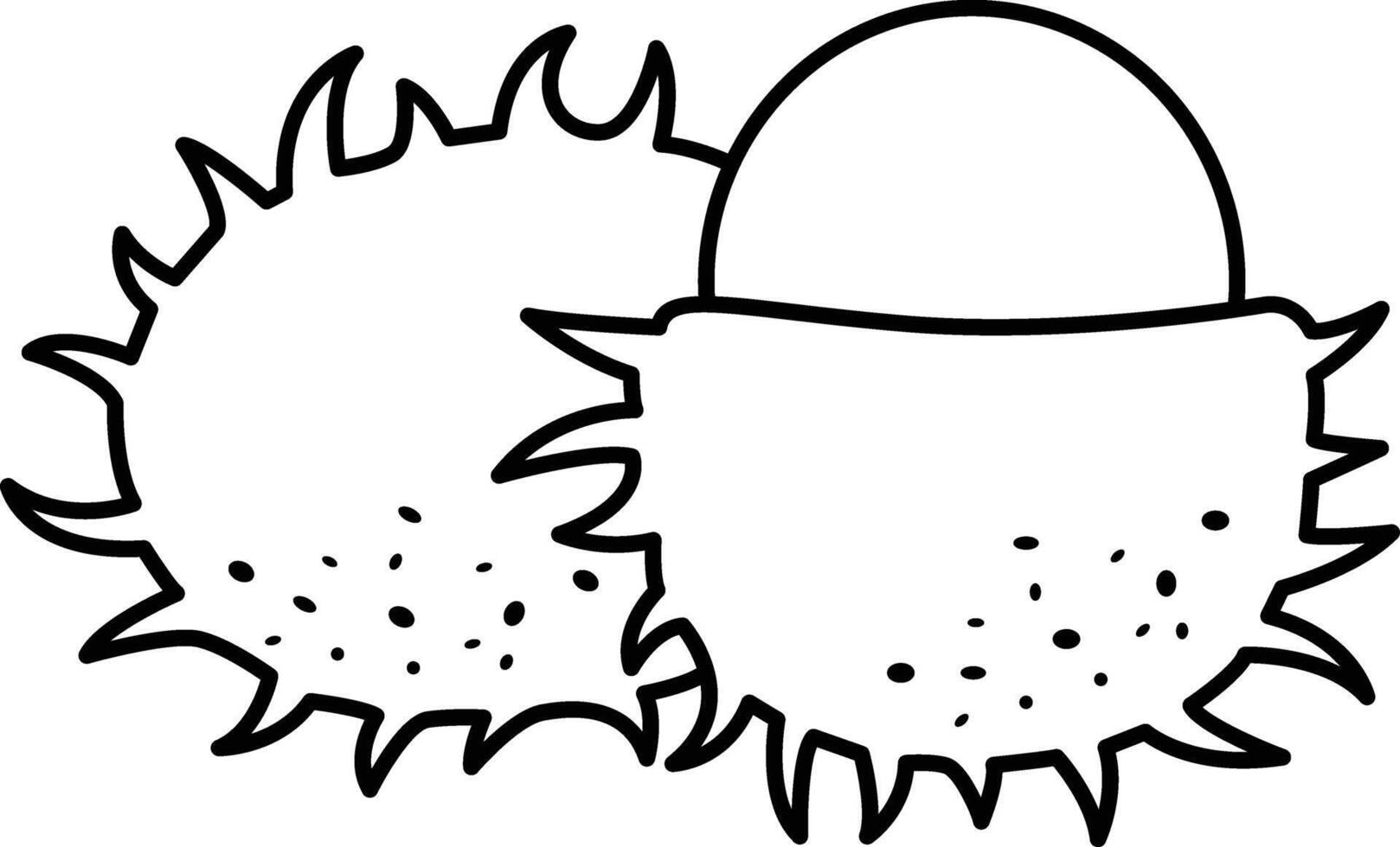 Rambutan Fruit Clipart vector