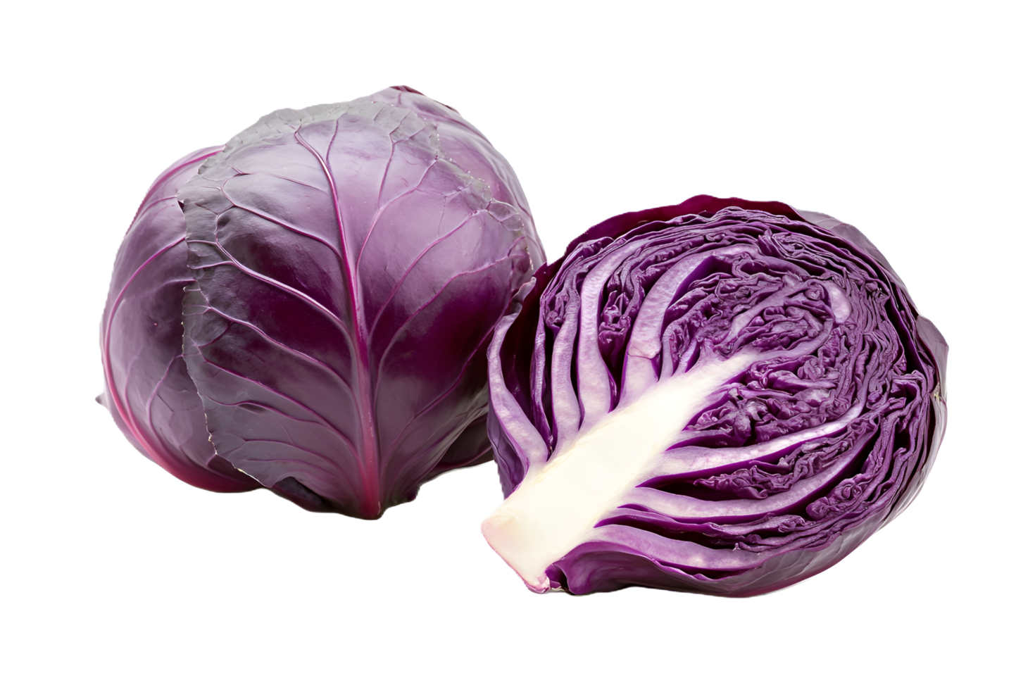 Red cabbage isolated on transparent background png
