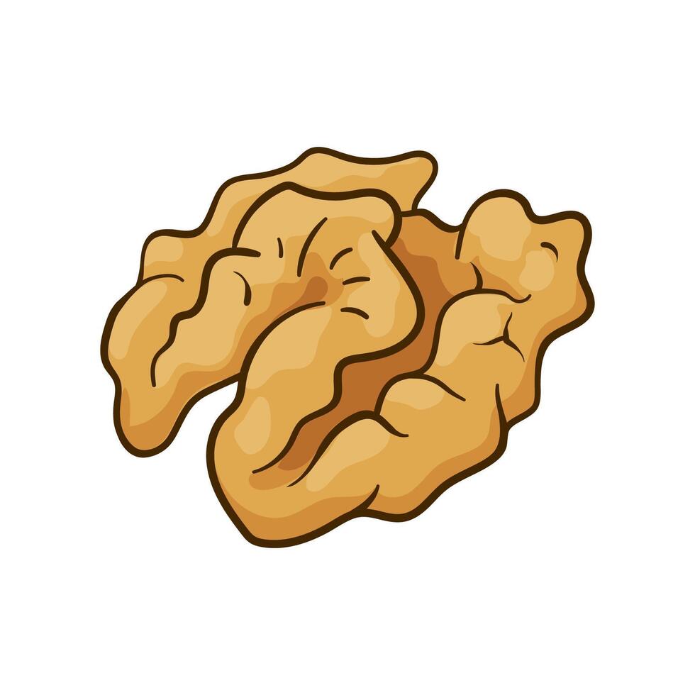 Walnut kernel. hand drawn colored illustration vector