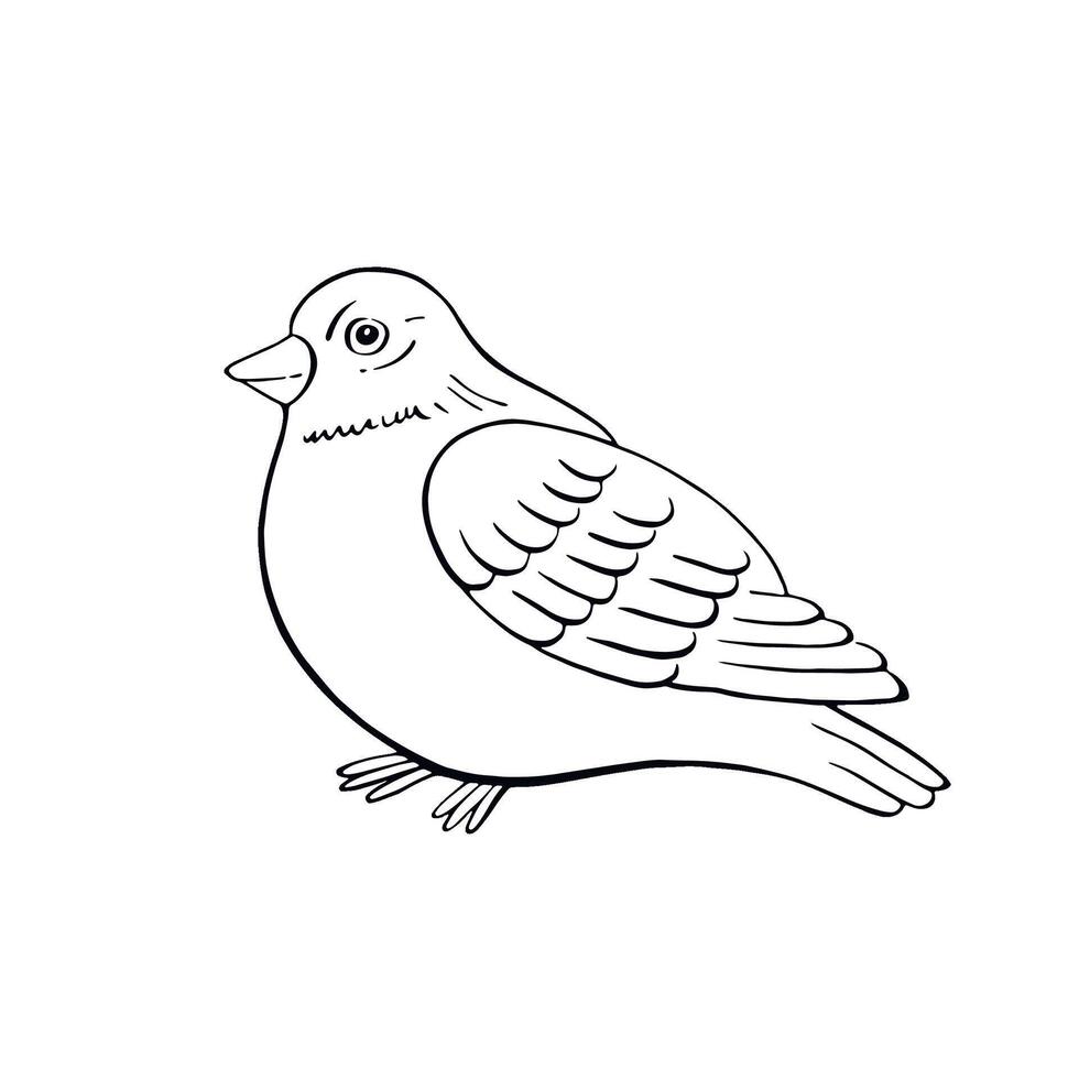 Bullfinch. Romantic outline ink graphic. Isolated contour bird for Christmas, New Year, season postcard, invitation, kids coloring, winter decoration. vector