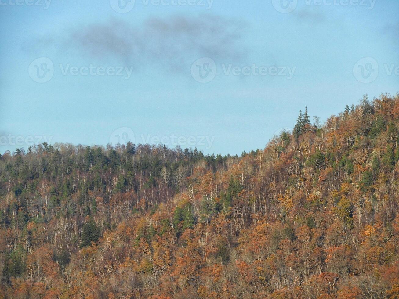 A plane flying over a mountain with trees on it photo