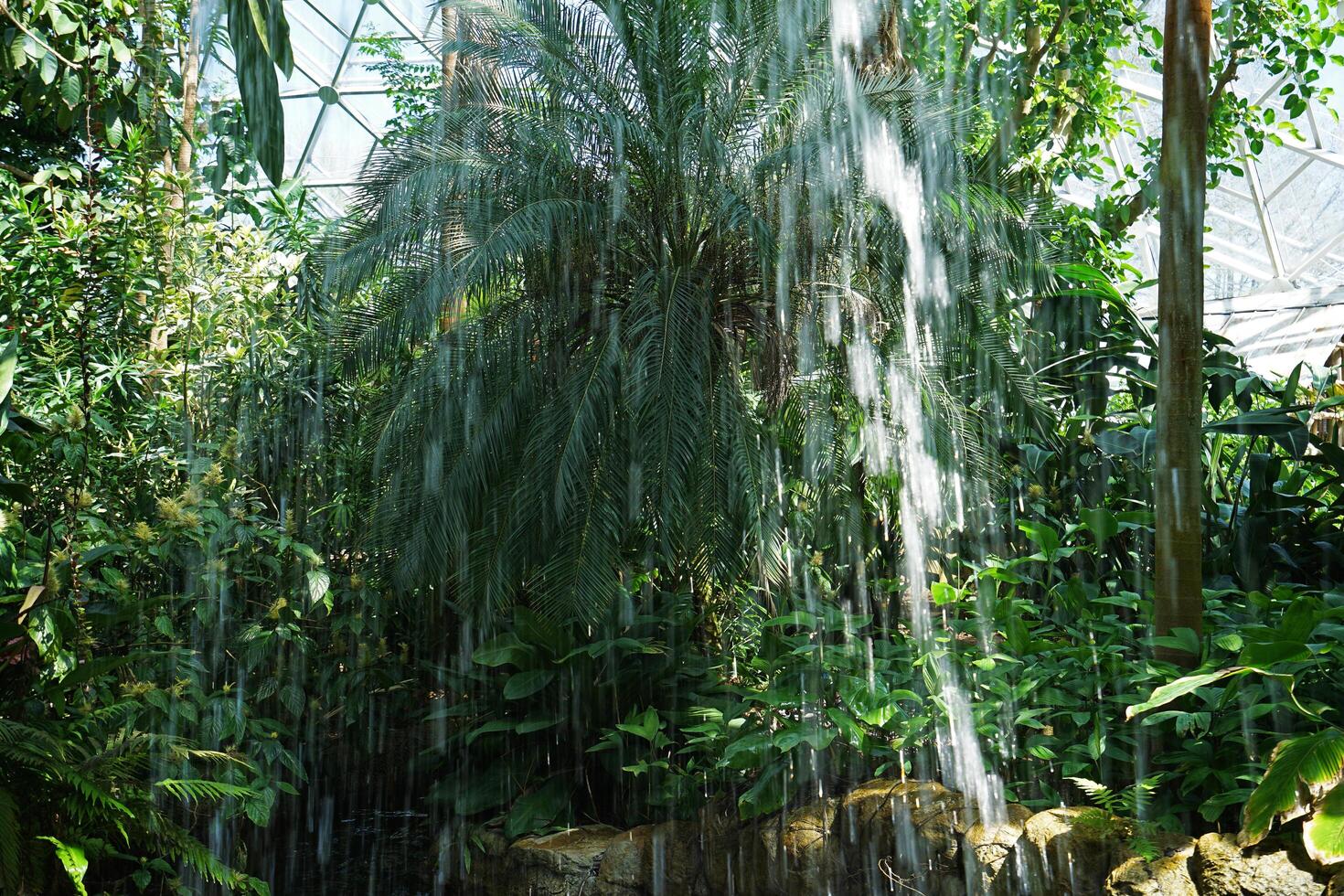 Natural rocky waterfall in green rainforest park photo