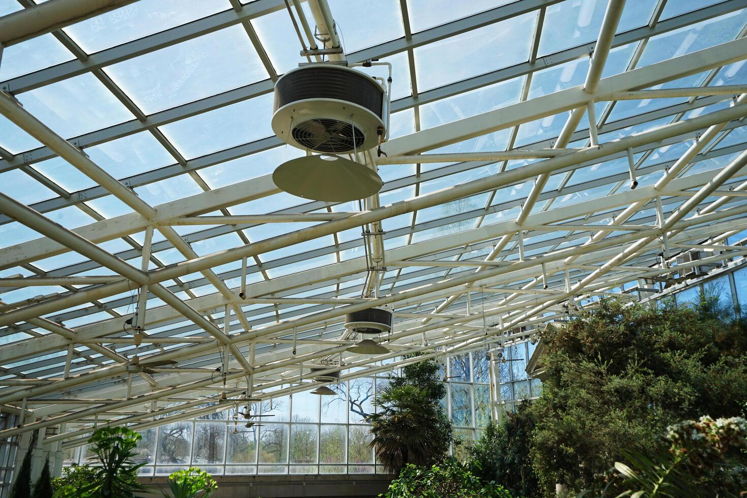Interior architecture and ceiling roof design of Climatron geodesic conservatory dome at 'MISSOURI BOTANICAL GARDEN'- Saint Louis town, MO photo