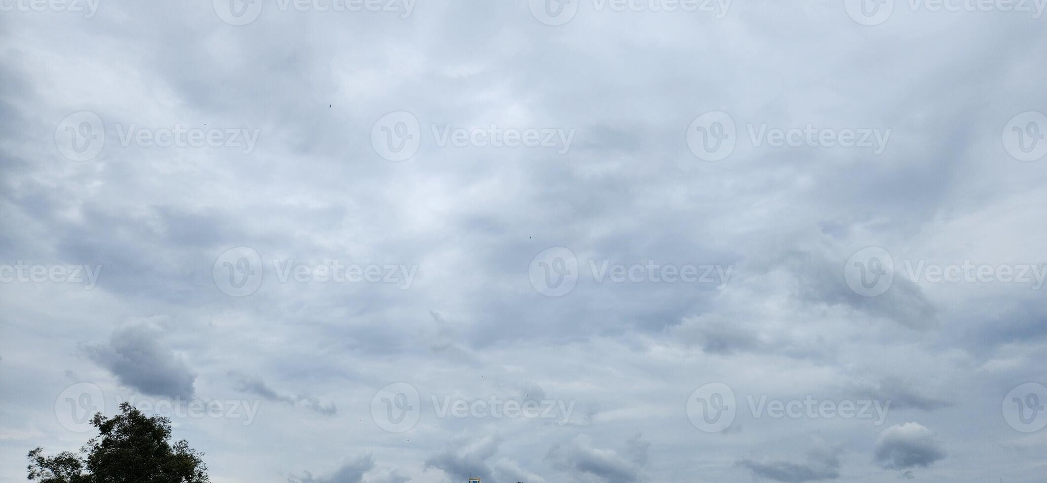 landscape image with cloudy sky and green trees photo