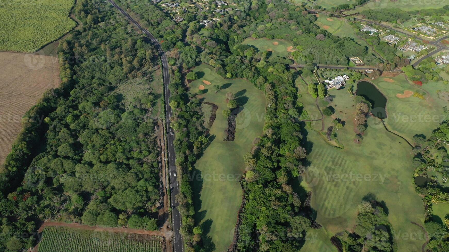 Mauritius. Road in the countryside photo