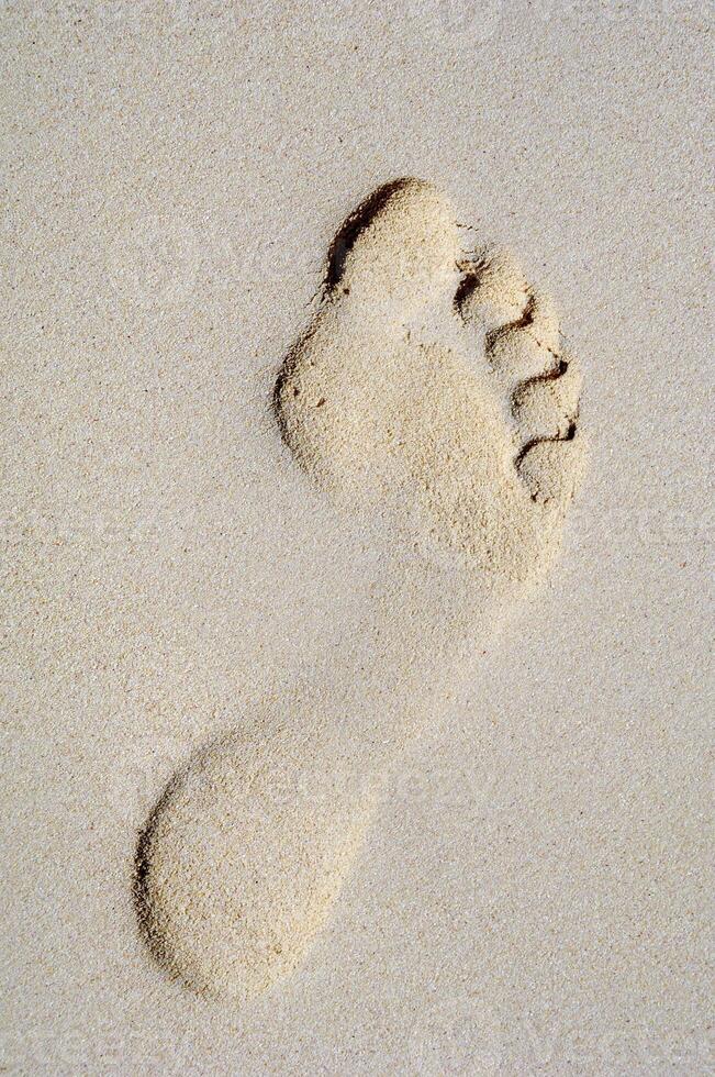 Footprint in sand on beach photo