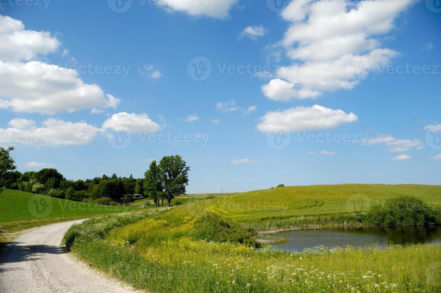 Landscape with lake and path photo