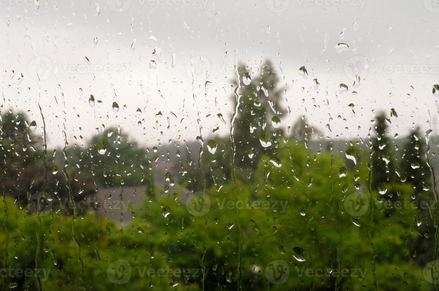 Rain on window photo