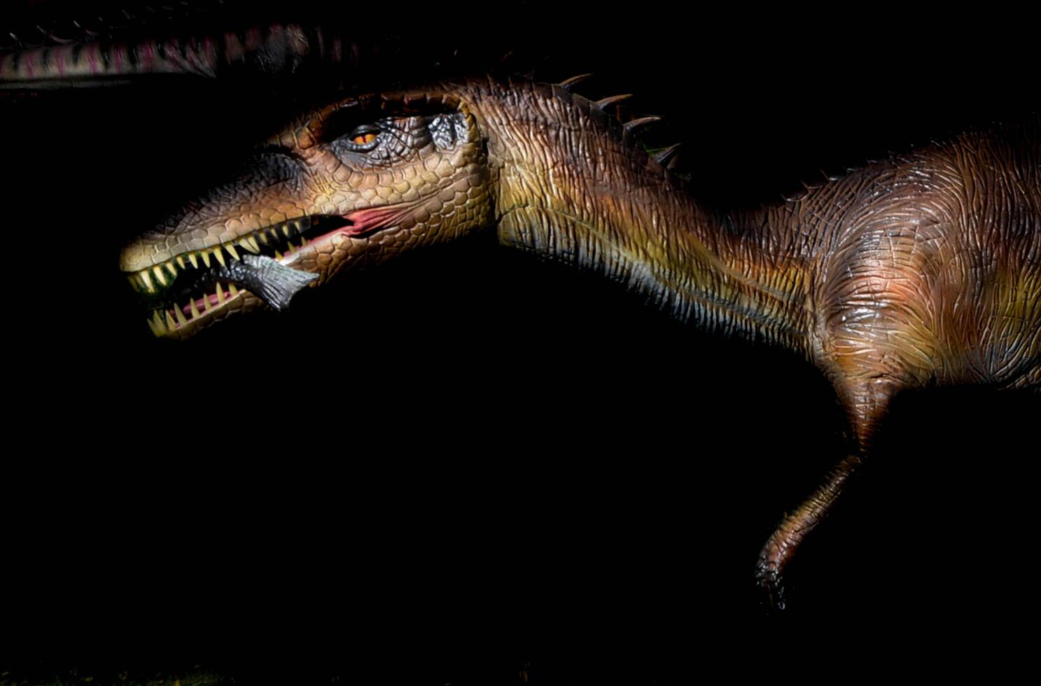 The head of dinosaur in the dark background photo