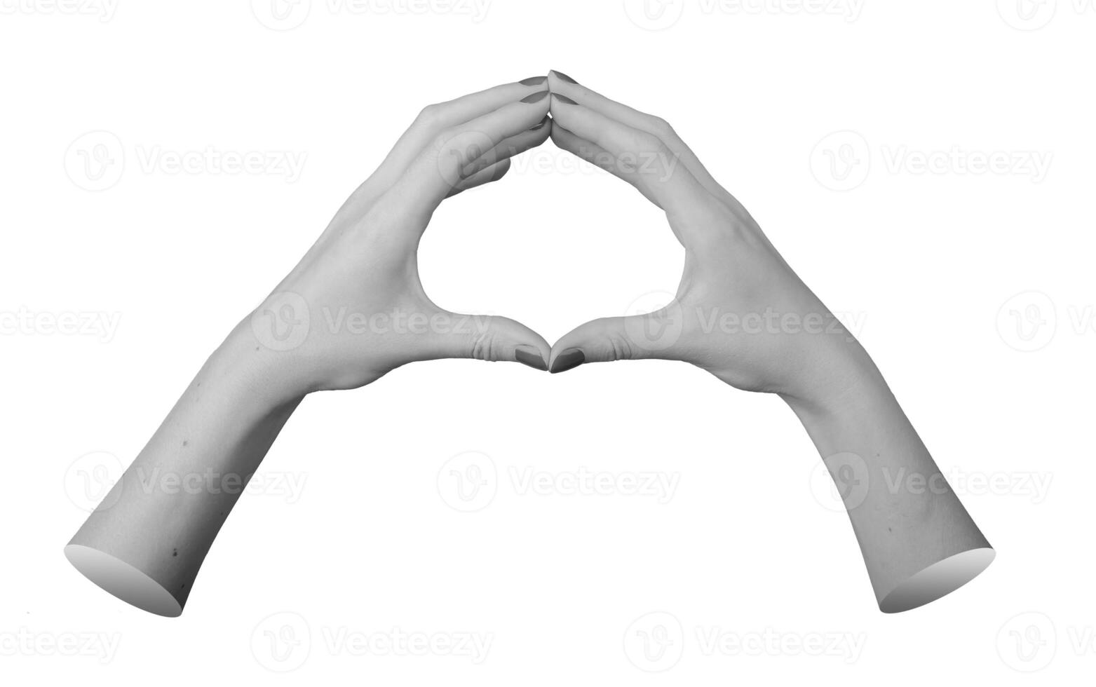 two hands forming a circular shape with the fingers and thumbs touching, creating a circle, isolated photo
