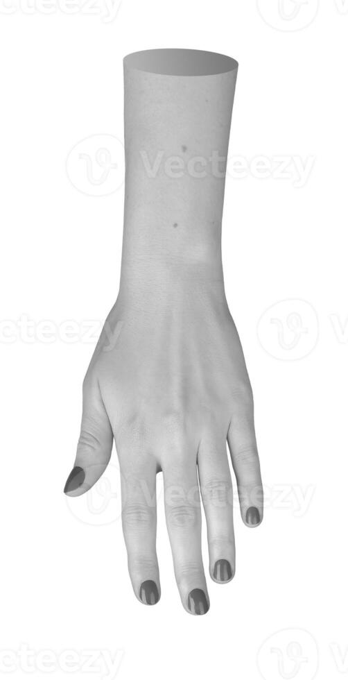 Isolated female hand with painted nails. Monochrome grayscale image showing wrist, fingers, and photo