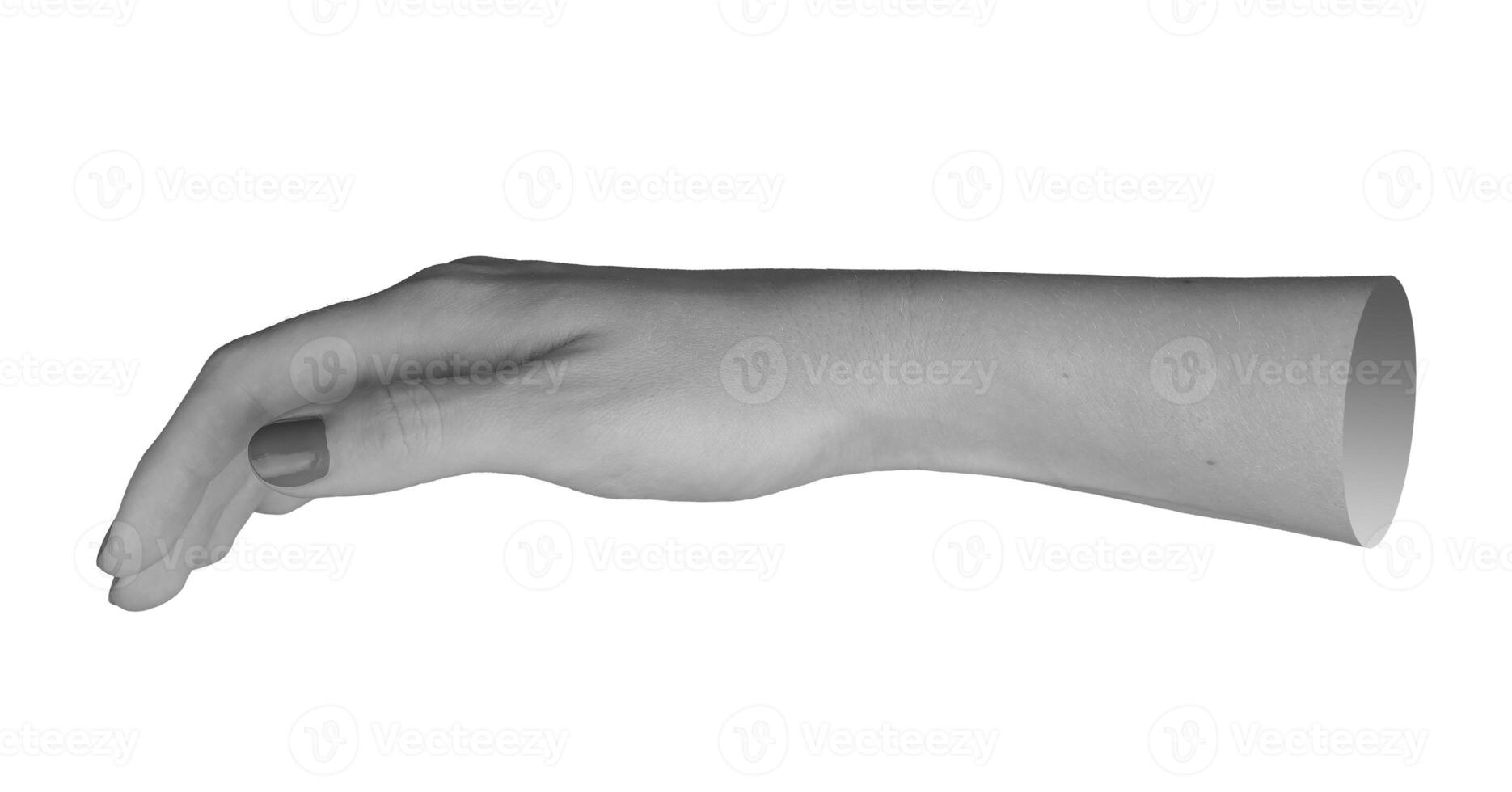 woman s hand, fingers slightly bending and curving, with the thumb extended, isolated on a white photo
