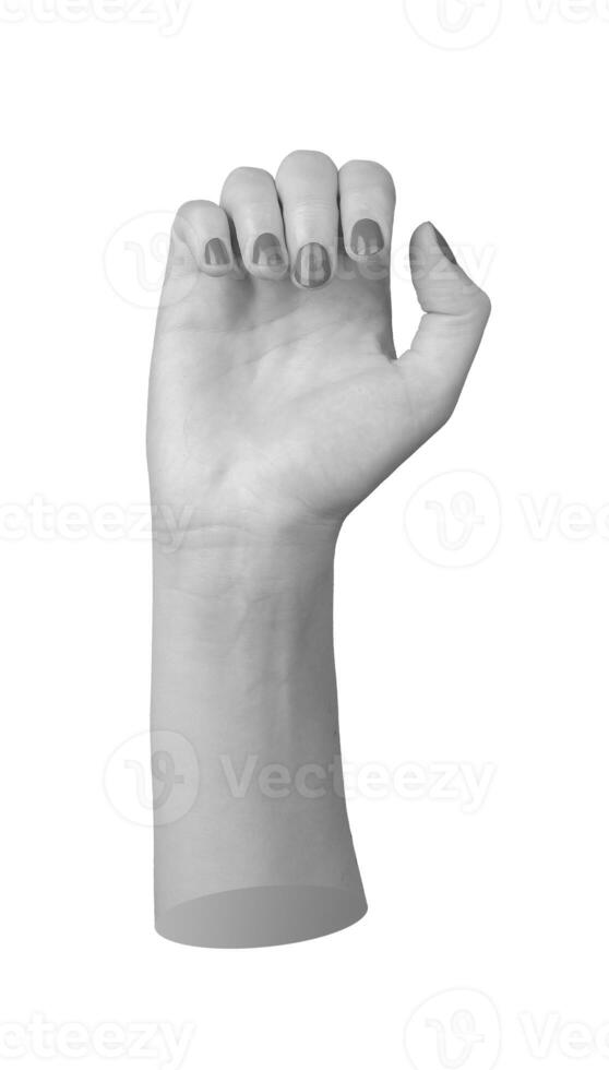 closeup hand with elegant manicure, fingers slightly bent in a gesture of capture or grip. Isolated photo