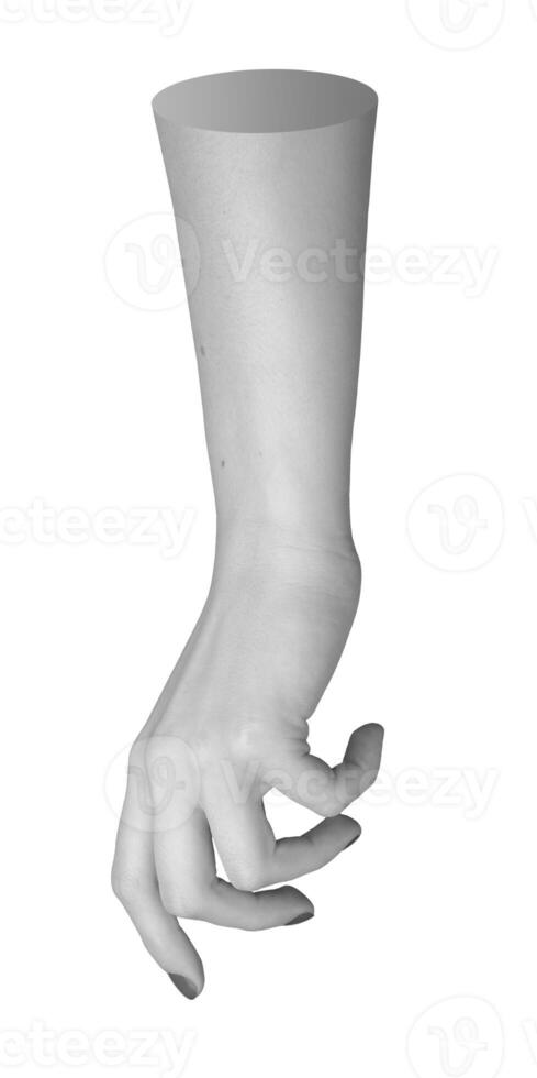 Relaxed, curled hand, fingers bent slightly in an artistic pose. Isolated dorsal view of a female photo
