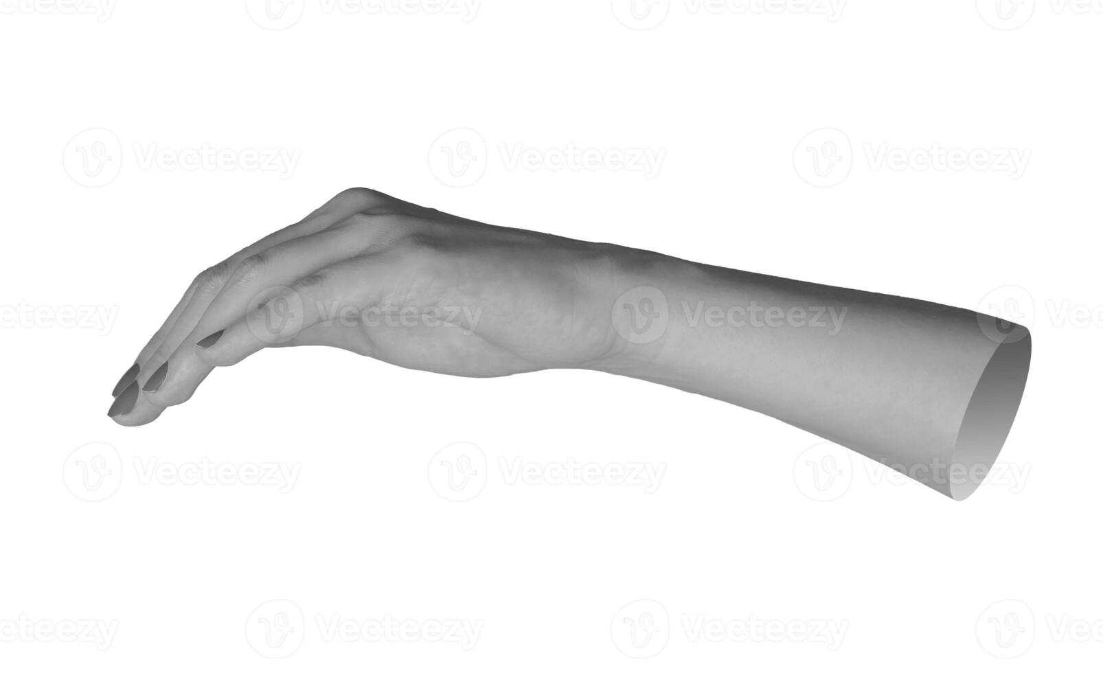 woman s hand, fingers slightly bent and curved, thumb extended in a flexible gesture. Isolated on a photo